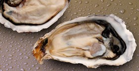 Clevedon Coast Oysters
